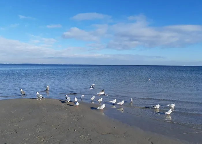 Krabbe 1 Schmiedeberg Timmendorfer Niendorf Feriehus *